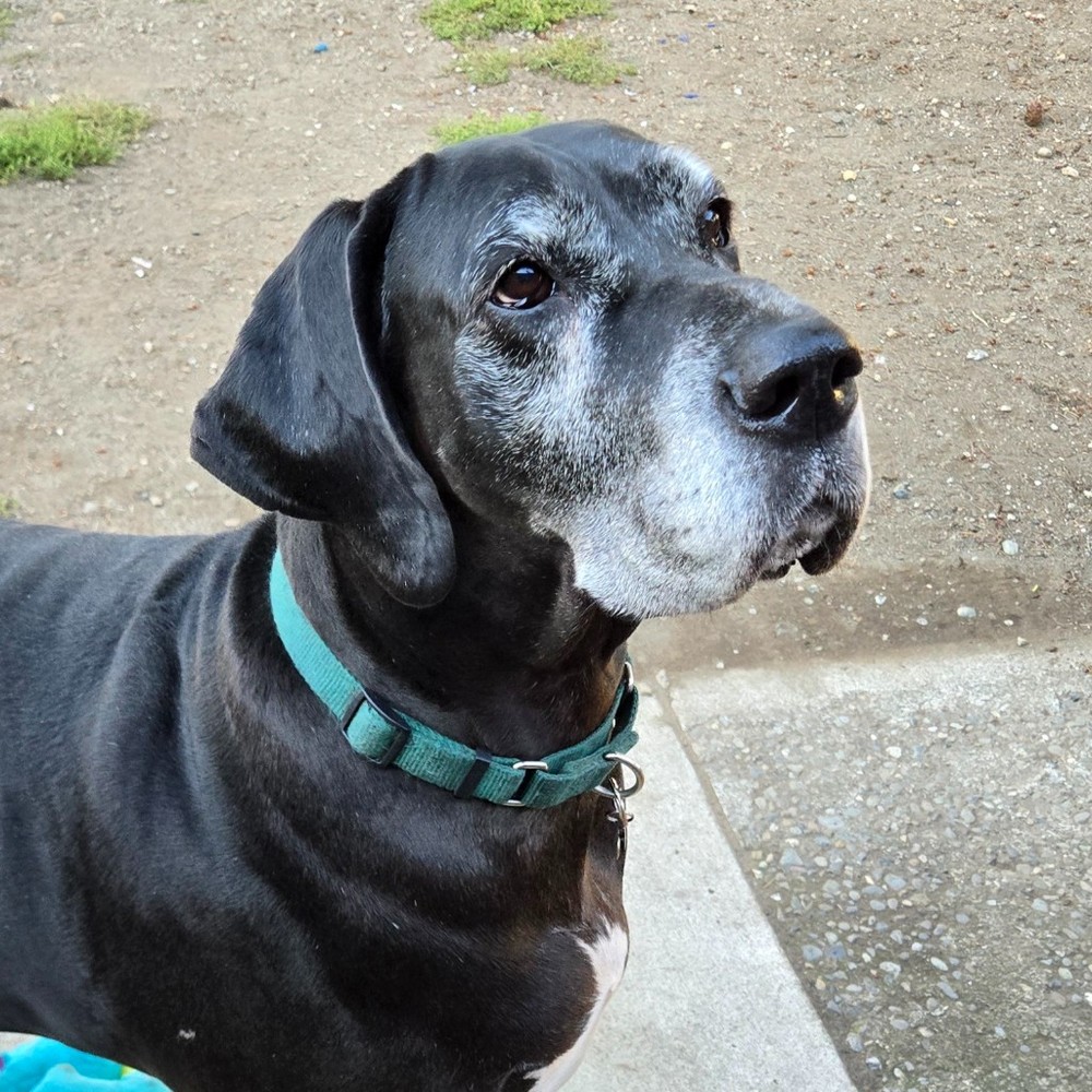 Meet your Posher, Katrina